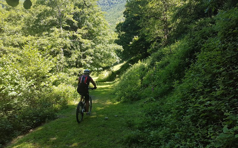 VTT