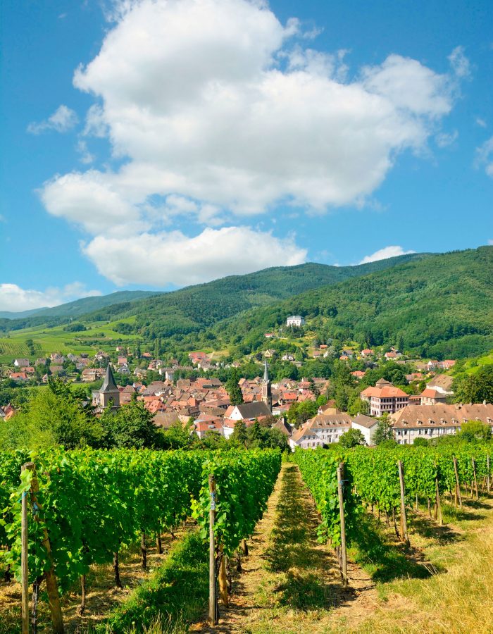famous-wine-village-of-ribeauville-in-alsace-france2