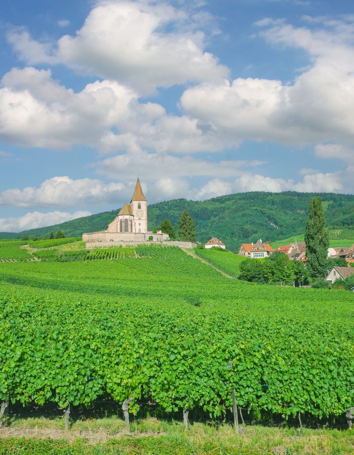 wine-village-of-hunawihr-grand-est-region-former-alsace-france